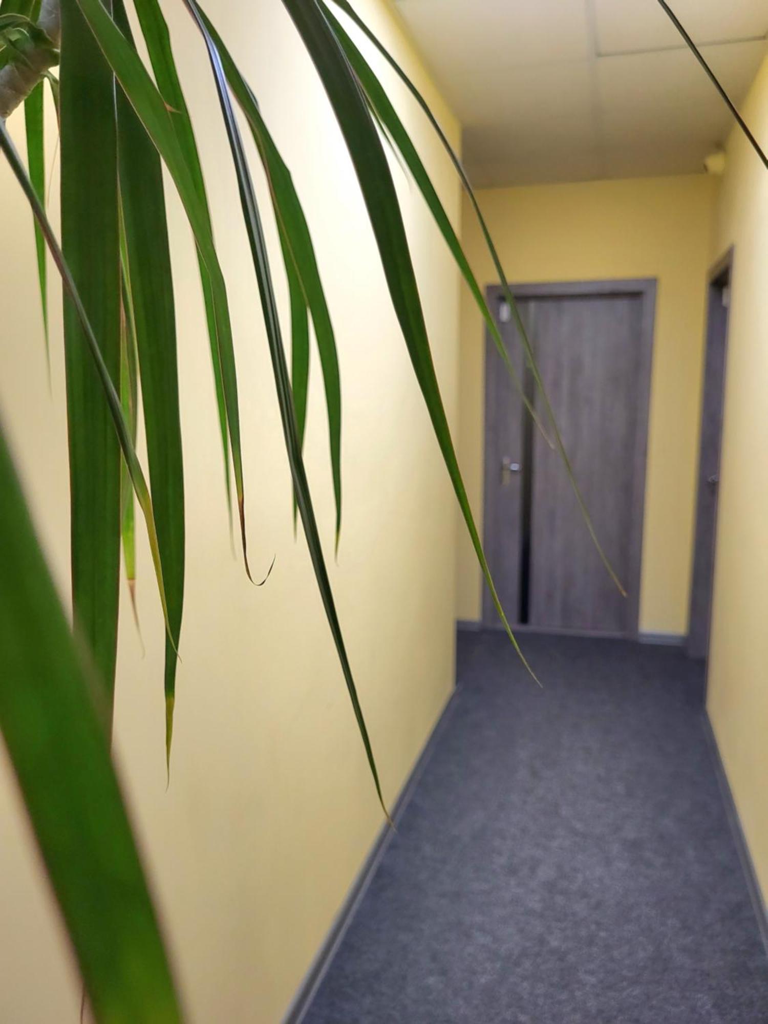 Амстердам Hotel Khmelʼnytsʼkyy Bagian luar foto